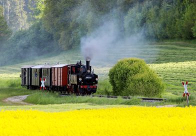 Ein Zug mit einer alten Dampflok fährt durch ein Rapsfeld