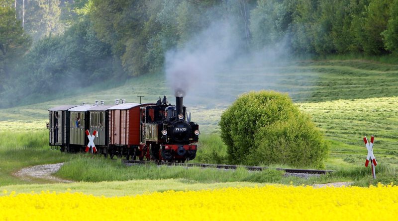 Ein Zug mit einer alten Dampflok fährt durch ein Rapsfeld