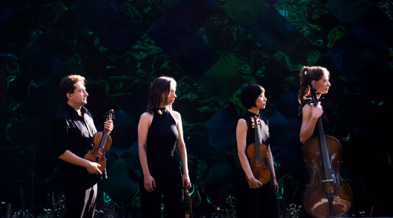 Die vier Mitglieder des Malion Quartetts stehen mit ihren Instrumenten vor einer spiegelnden Wand, in deren Reflexion Pflanzen zu erahnen sind