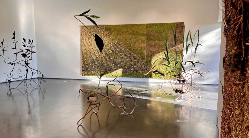 In einem Ausstellungssaal hängt ein großes Bild, das eine Beet und Rasenfläche zeigt, davor stehen große Skulpturen, die wie filigrane Pflanzen aussehen