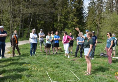 „Keep cool – gesund bleiben in heißen Zeiten“ Auf einer sonnigen Waldlichtung hören mehrere Menschen einem Vortrag zu