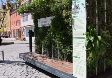 Ein Podest mit Wänden aus grünen Pflanzen steht auf einem sonnigen Platz