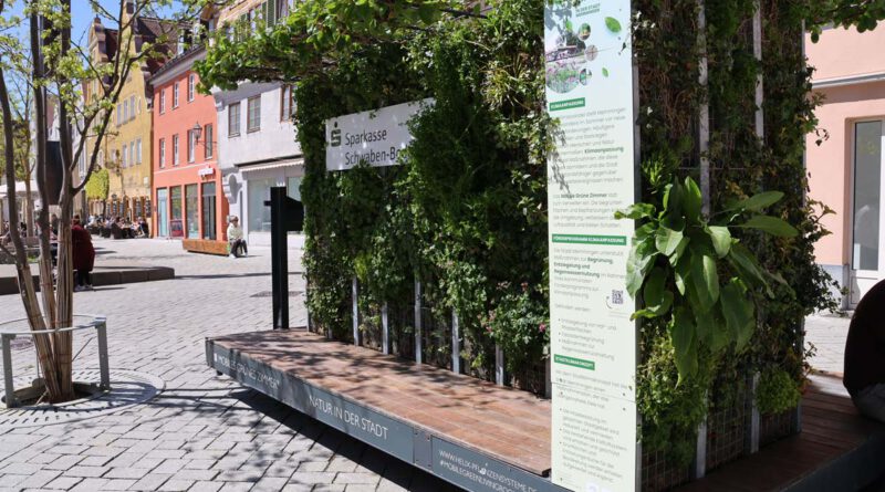Ein Podest mit Wänden aus grünen Pflanzen steht auf einem sonnigen Platz